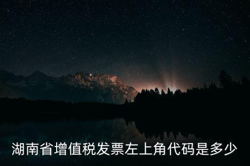 湖南省增值稅發票左上角代碼是多少