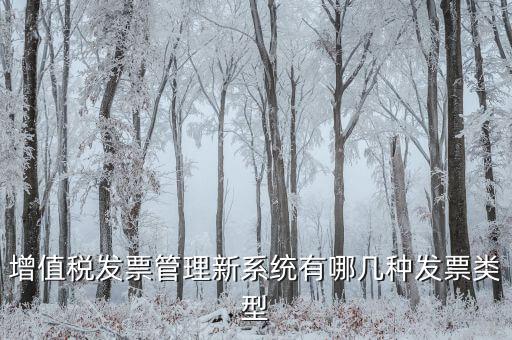 增值稅發票管理新系統有哪幾種發票類型