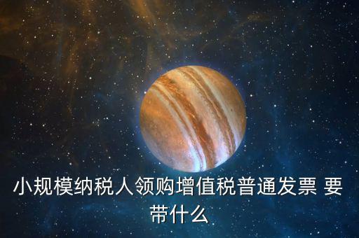 小規模納稅人領購增值稅普通發票 要帶什么