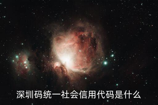 統一社會信用代碼是指什么不同，深圳碼統一社會信用代碼是什么