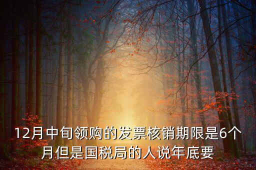 12月中旬領購的發票核銷期限是6個月但是國稅局的人說年底要