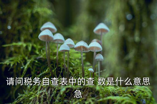 請問稅務自查表中的查 數是什么意思急