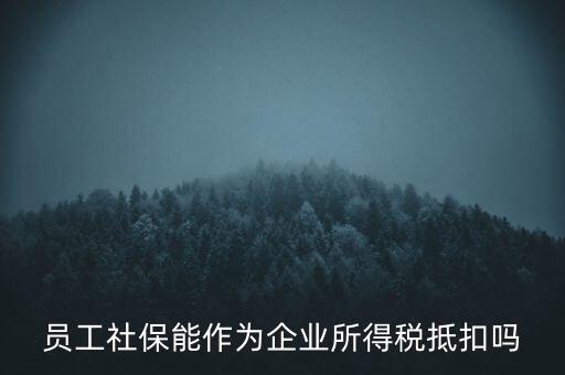 企業社保可以抵什么稅，員工社保能作為企業所得稅抵扣嗎