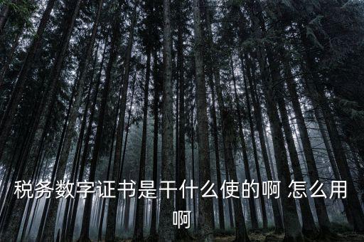 稅務數字證書是干什么使的啊 怎么用啊