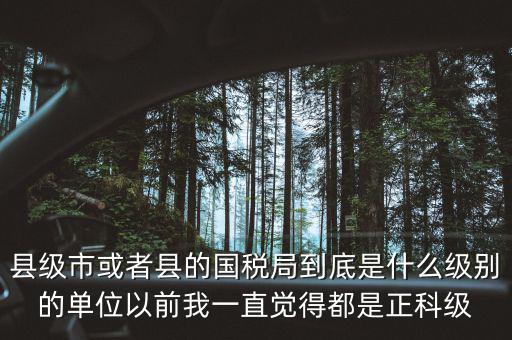 縣國(guó)稅局辦稅服務(wù)廳主任是什么級(jí)別，縣地稅局辦公室主任是什么行政級(jí)別