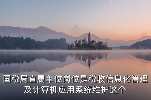 國稅局直屬單位崗位是稅收信息化管理及計算機應用系統維護這個