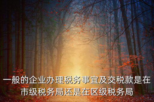 一般的企業辦理稅務事宜及交稅款是在市級稅務局還是在區級稅務局