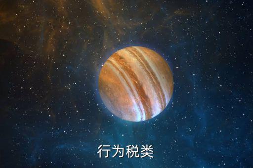 行為稅類(lèi)