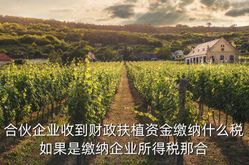 合伙企業收到財政扶植資金繳納什么稅如果是繳納企業所得稅那合