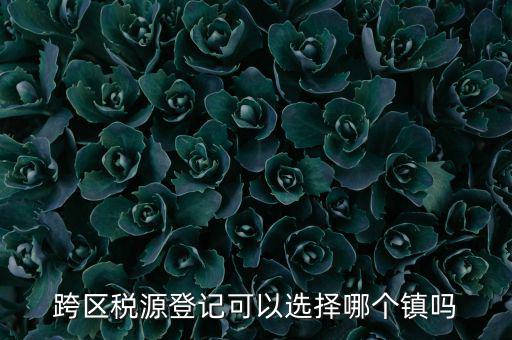 跨區稅源登記是什么，跨區稅源登記能否登記為一般納稅人