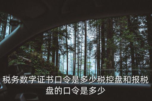 國稅證書口令是什么，我想問下國家稅務網上申報點擊安全登錄時出現的用戶口令是什么