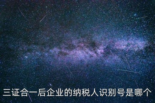 三證合一后企業的納稅人識別號是哪個