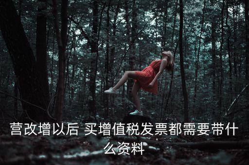 營改增以后 買增值稅發票都需要帶什么資料