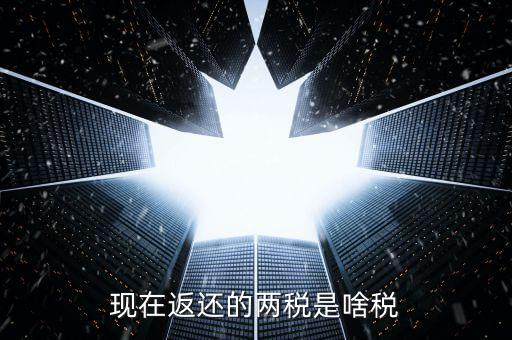 現在返還的兩稅是啥稅