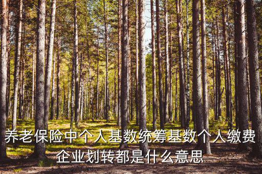 養老保險中個人基數統籌基數個人繳費企業劃轉都是什么意思