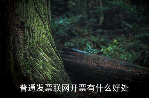普通網絡發票有什么用，開普通發票網絡受理號有什么作用