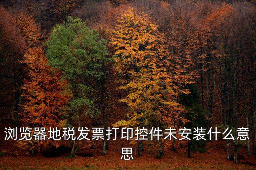 瀏覽器地稅發票打印控件未安裝什么意思