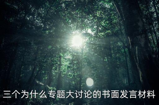 三個為什么專題大討論的書面發言材料