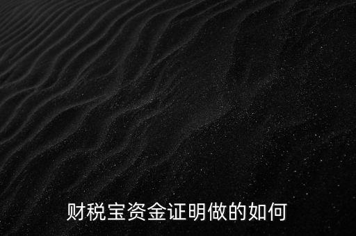 財稅寶資金證明做的如何