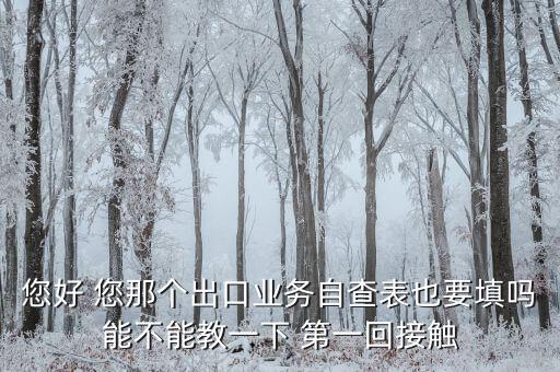 您好 您那個出口業務自查表也要填嗎能不能教一下 第一回接觸