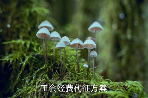 工會經費為什么委托稅務機關代征，工會經費交地稅局是怎么回事