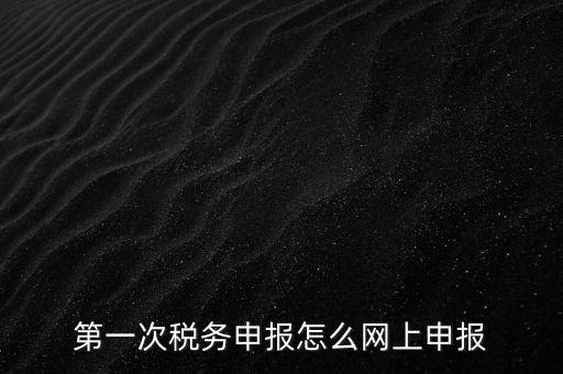 網上申報打開什么網頁，網上報稅在哪個網站