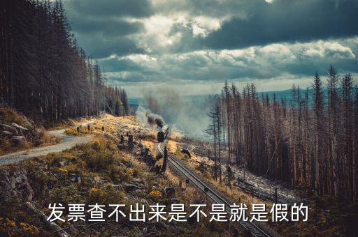 什么發票查不到真假，增值稅的發票真偽查不到怎么辦