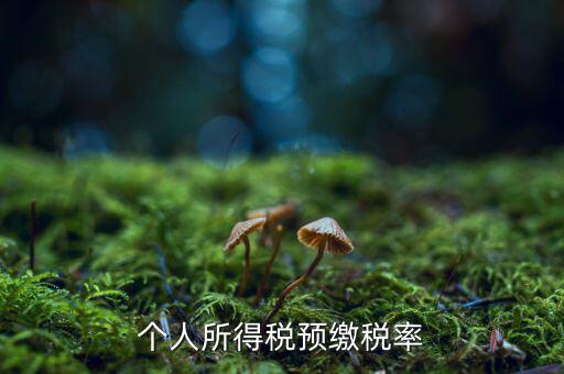 什么是個人所得稅預征率，個人所得稅預扣預繳是什么意思
