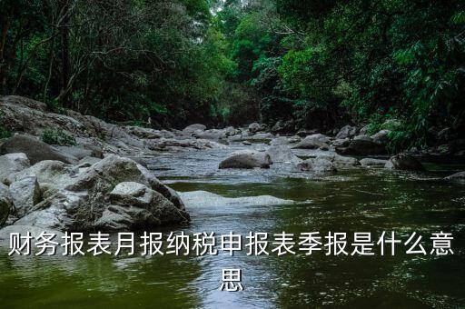 發票月報什么意思，發票月報非申報期是什么意思