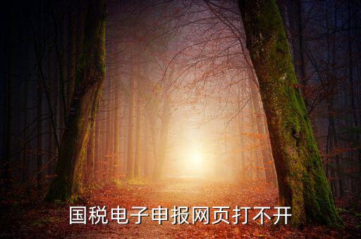 國稅電子申報網頁打不開