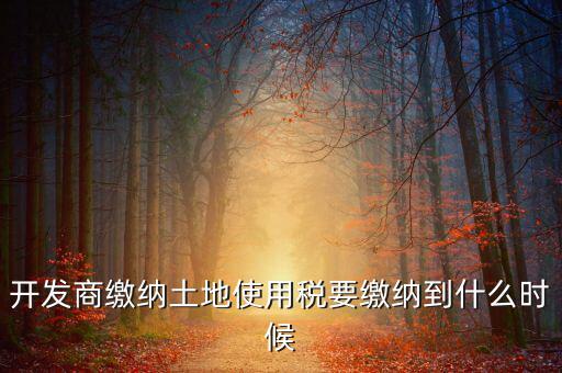 開發商繳納土地使用稅要繳納到什么時候