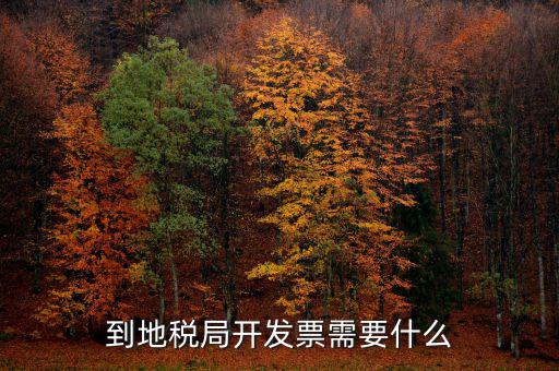 到地稅局開發票需要什么