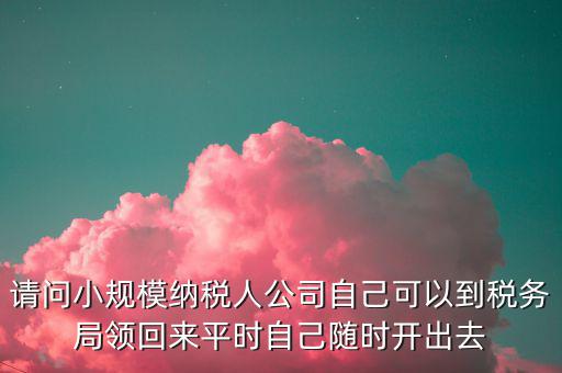 請問小規模納稅人公司自己可以到稅務局領回來平時自己隨時開出去