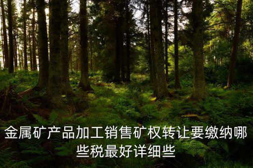 金屬礦產品加工銷售礦權轉讓要繳納哪些稅最好詳細些