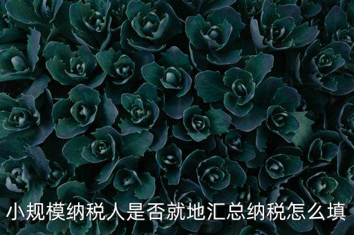 小規模納稅人是否就地匯總納稅怎么填