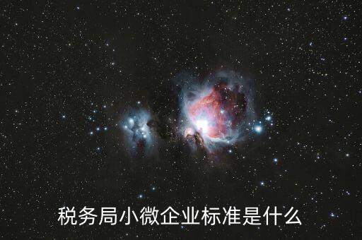 稅務局小微企業標準是什么