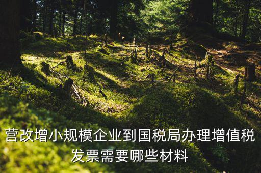營改增小規模企業到國稅局辦理增值稅發票需要哪些材料