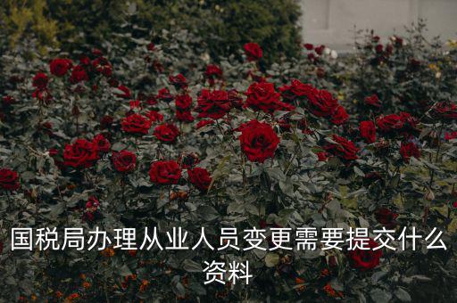 國稅局辦理從業人員變更需要提交什么資料