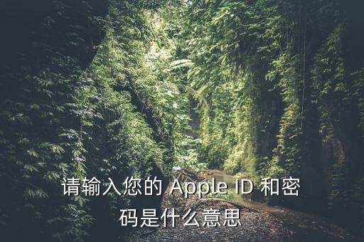 查詢個稅 密碼是輸入什么，請輸入您的 Apple ID 和密碼是什么意思