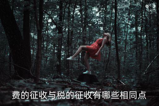 稅與費有什么區別 稅收具有，費的征收與稅的征收有哪些相同點
