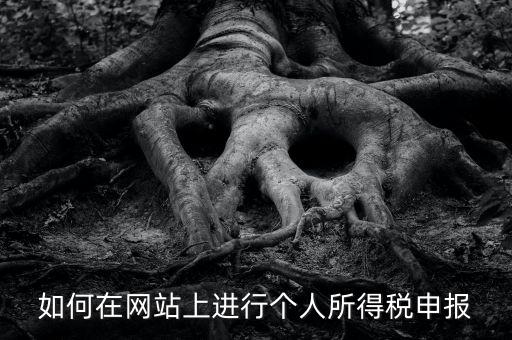 如何在網站上進行個人所得稅申報
