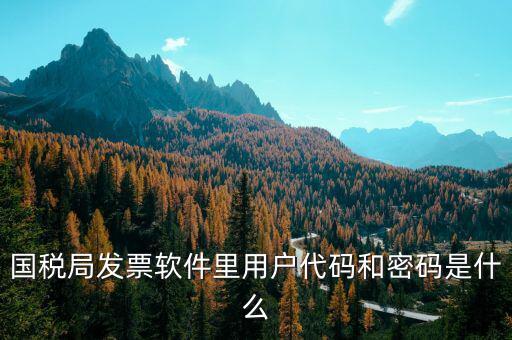 湖南汽車發票密碼是什么，國稅局發票軟件里用戶代碼和密碼是什么