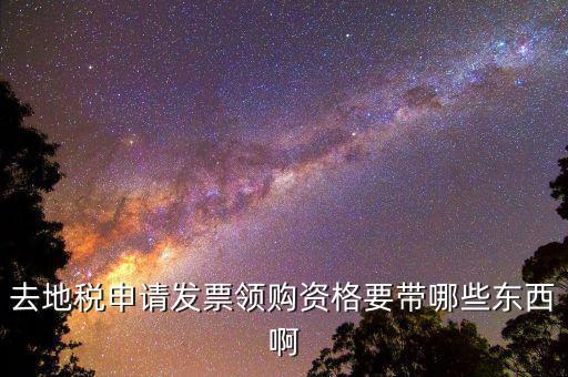 去地稅申請發票領購資格要帶哪些東西啊