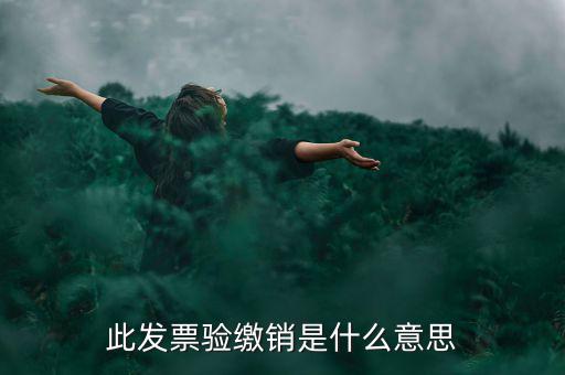此發票驗繳銷是什么意思