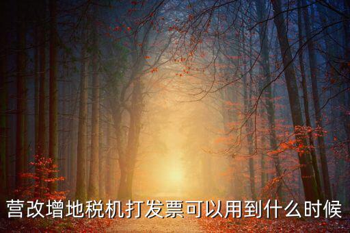 地稅發票能用到什么時候，納稅人已領取地稅機關印制的發票可以使用到什么時候