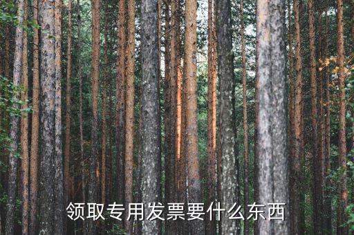 領購專票需要帶什么，領購增值稅專用發票需要帶哪些東西詳細點謝謝