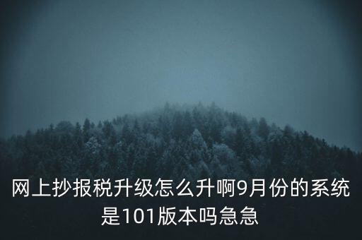 網上抄報稅升級怎么升啊9月份的系統是101版本嗎急急