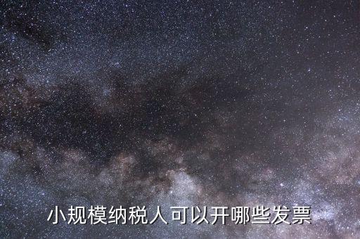 小規模納稅人可以開哪些發票