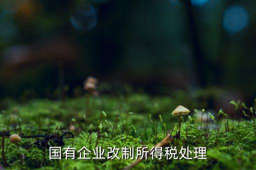 國有企業改制所得稅處理