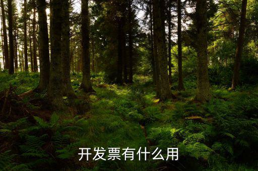 開發票有什么用